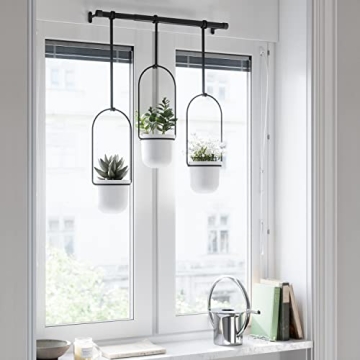 Umbra Triflora Hanging Planter Set for Indoor Gardening