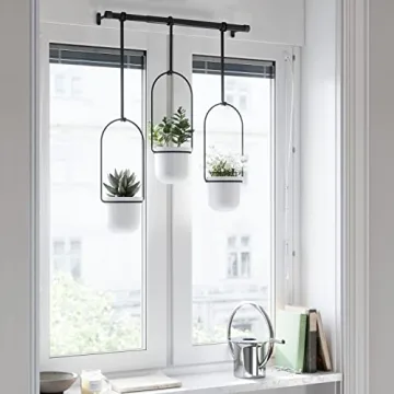 Umbra Triflora Hanging Planter Set for Indoor Gardening
