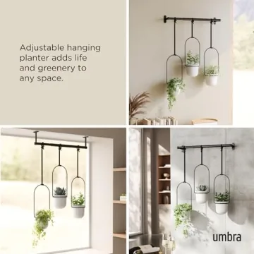 Umbra Triflora Hanging Planter Set for Indoor Gardening