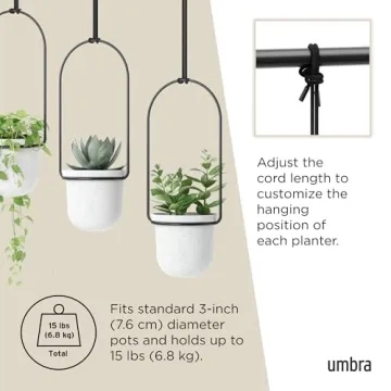 Umbra Triflora Hanging Planter Set for Indoor Gardening
