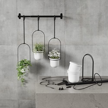 Umbra Triflora Hanging Planter Set for Indoor Gardening