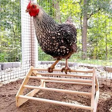 Backyard Barnyard Chick Perch Sturdy Jungle Gym for Chicks