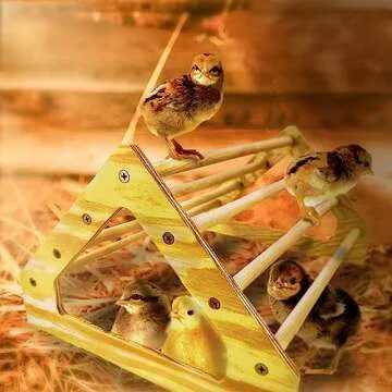 Backyard Barnyard Chick Perch Sturdy Jungle Gym for Chicks