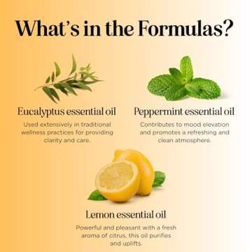 Aromatherapy Essential Oil Roller Set for Relaxation Gifts