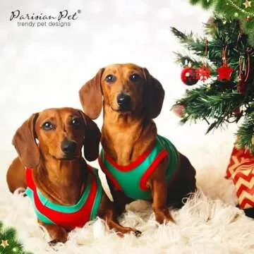 Parisian Pet Dog Tshirt - Embroidered “ Sorry Santa I Ate Your Cookies “ Dog Shirt - Lightweight Cotton Dog Christmas Outfit - Sleeveless Christmas Dog Clothes - Dog Shirts for Medium Dogs - M