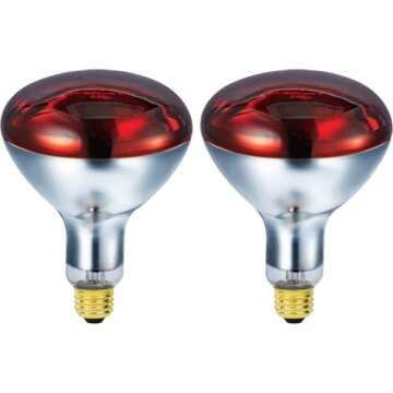 BULBMASTER 250 Watts R40 Red Heat Lamps Outdoor Bulbs for Pets Flood Light Bulb for Chickens Infrared Reflector 250W R40 Incandescent Medium E26 Base 2 Pack