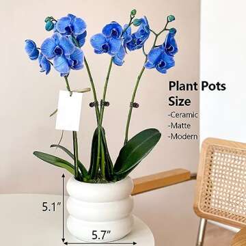 Cusmation 5.7 Inch Modern White Ceramic Planter Pot with Drainage Holes, Suitable for Indoor Plants, Cute Unique Planters for Home & Office Decor