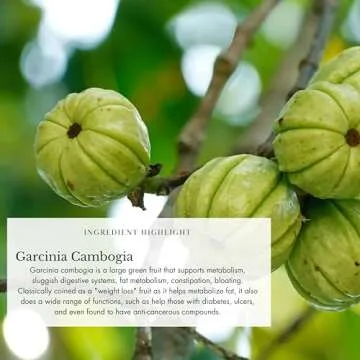 Anima Mundi Belly Love Powder - Supplement for Bloating Relief - Digestive Aid & De-Bloat Powder Supplement for Women & Men - with Cranberry Juice Extract and Ginger (4.5oz / 128g)