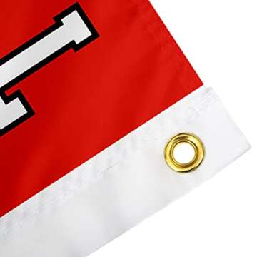 Desert Cactus Texas Tech University TTU Flag - 3 x 5 Feet Raiders Banner, Indoor/Outdoor Durable Fabric, 100% Polyester Design (Style 3)