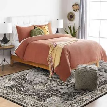 Washable 3x5 Area Rug - Soft Area Rugs for Living Room Stain Resistant Carpet Vintage Lightweight Rugs for Bedroom Kitchen entryway with Non Slip Backing Home Decor Small Mat 3X5 Black