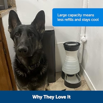 PetSafe Healthy Pet Water Station for Dogs and Cats 128 oz