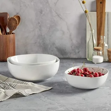 Denmark White Porcelain Bowl Set | Chip Resistant