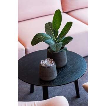 Pottery Pots Petite Black Washed Planter Fiberstone Indoor and Outdoor Flower Pot 7" H x 8" W