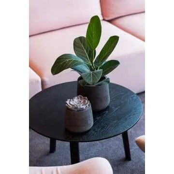 Pottery Pots Petite Black Washed Planter for Home & Garden