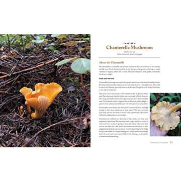 Wild Mushrooms Cookbook and Foraging Guide Online