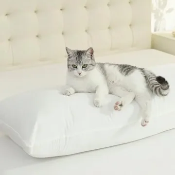 SHOUREN Cotton Body Pillow Insert - Cooling Breathable Full Body Pillow for Side Sleeper - Soft Long...