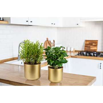 Vixdonos Large Gold Planters Metal Aloe Brass-Tone Plant Pots Indoor Decorative Flower Pots with Drain Holes(8+7.1Inch)