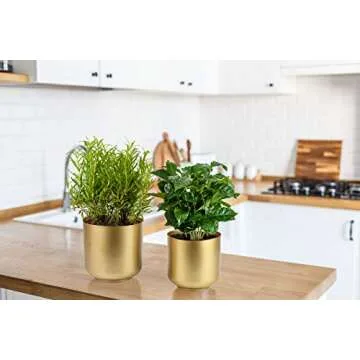 Stylish Vixdonos Gold Planters for Indoor Decor