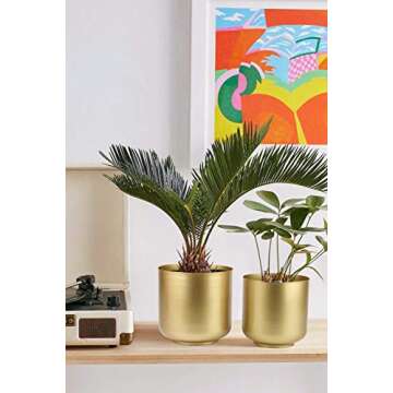 Vixdonos Large Gold Planters Metal Aloe Brass-Tone Plant Pots Indoor Decorative Flower Pots with Drain Holes(8+7.1Inch)