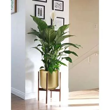 Stylish Vixdonos Gold Planters for Indoor Decor