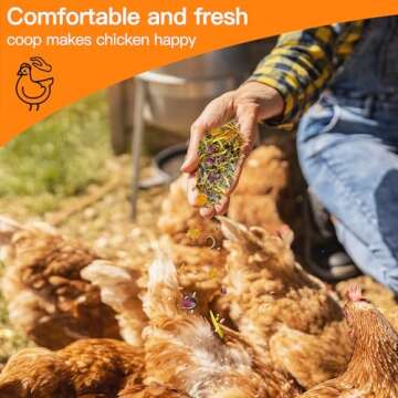 HoazHoald Chicken Nesting Herbs | Boost Egg Production