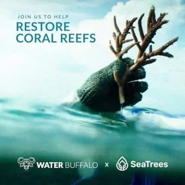 Water Buffalo Beach Chair - Stylish Foldable Comfort