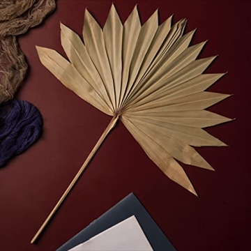 Natural Dried Palm Leaves for Boho Decor and Weddings