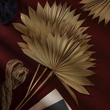 Natural Dried Palm Leaves for Boho Decor and Weddings