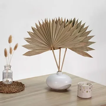 Natural Dried Palm Leaves for Boho Decor and Weddings