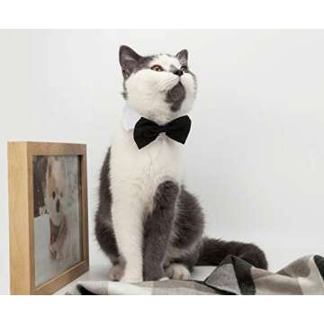ZTON Adjustable Formal Bowtie Collar for Pets - Stylish & Chic