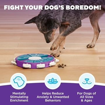 Outward Hound Dog Twister Interactive Treat Puzzle