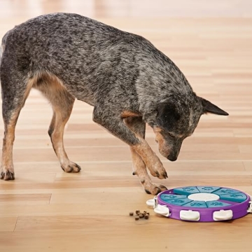 Outward Hound Dog Twister Interactive Treat Puzzle
