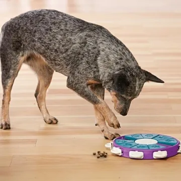 Outward Hound Dog Twister Interactive Treat Puzzle