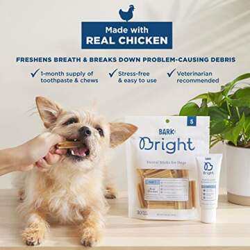BarkBox Bright Toothpaste & Toothbrush Chews Kit - Dental Treats for Dogs and Cats | Vet-Recommended | Freshens Breath & Reduces Plaque Buildup | Made with Real Chicken