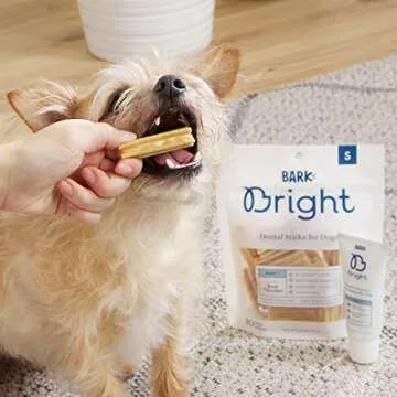 BarkBox Bright Toothpaste & Toothbrush Chews Kit - Dental Treats for Dogs and Cats | Vet-Recommended | Freshens Breath & Reduces Plaque Buildup | Made with Real Chicken