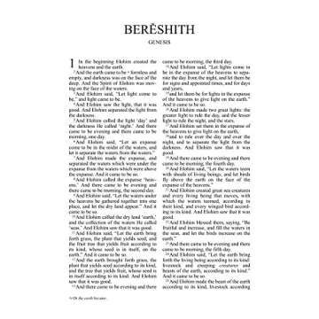 The Scriptures Large Print Duotone Charcoal Edition