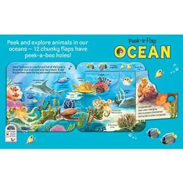 Peek-a-Flap Ocean Children's Lift-a-Flap Board Book for Children Learning about the Sea and Water An...