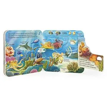 Peek-a-Flap Ocean Children's Lift-a-Flap Board Book for Children Learning about the Sea and Water Animals, Ages 2-5
