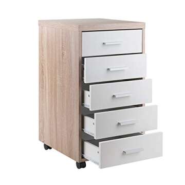 Winsome Wood Kenner Home Office 5-Drawer Cabinet