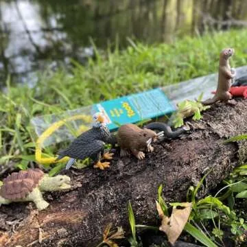 Safari Ltd. River Ecosystem TOOB - Figurines of Bald Eagle, Beaver, Alligator & More - Fun Education...