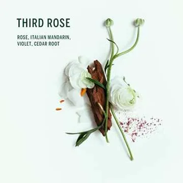 Corpus - Third Rose Body Wash | Vegan, Cruelty-Free, Non-Toxic, Made In The USA (9 fl oz | 266 g)