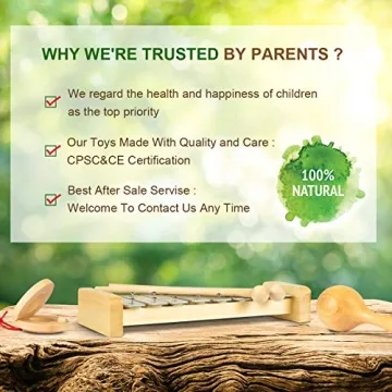 LOOIKOOS Toddler Musical Instruments Set - Eco-Friendly Wooden Toys