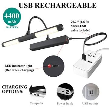 Rechargeable Picture Light with Remote for Art Showcase