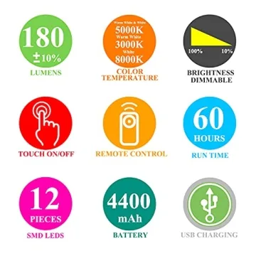 Rechargeable Picture Light with Remote for Art Showcase