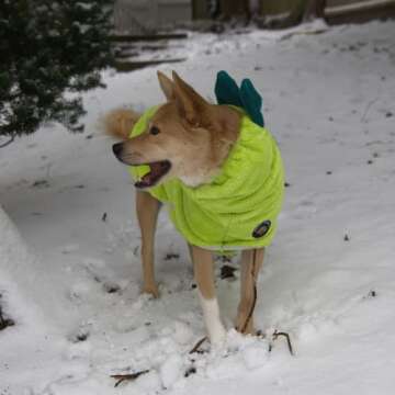 DERPYCHAPPY Premium Dog Bathrobe Towel - Super Absorbent Microfiber Robe for Small Medium Large Dogs and Cats - Stylish Cozy Quick Pet Drying Towels After Bath, Pool, Beach or Grooming - (Lime, S)