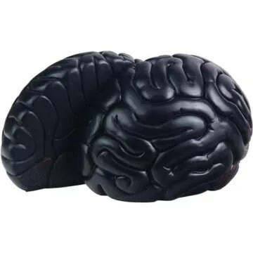Mildahjoy Brain Bookends for Creative Decor and Organization