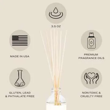 Sweet Water Decor Cashmere and Vanilla Reed Diffuser Set - Cashmere, Sandalwood, Milky Coconut, Bourbon Vanilla Scented Diffuser - Scent Diffusers for Home, Long Lasting Fragrance, Made in the USA