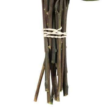 Vickerman 18" Green Weeping Willow Eucalyptus Bundle Long Stem - 5 oz Bundle 2 - Real Preserved Foli...