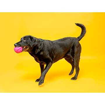 Hartz DuraPlay Bacon Scented Dog Toys, Large 1 Count