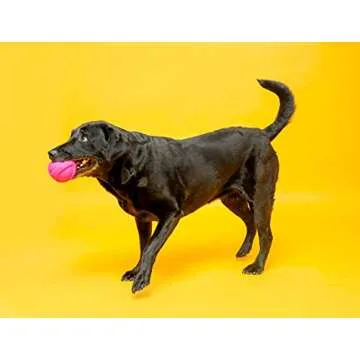 Hartz DuraPlay Bacon Scented Dog Toys, Large 1 Count